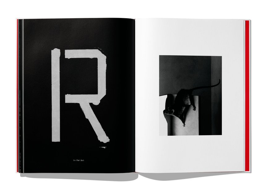 洋書 JACK DAVISON:A is for ant A is for Ant Book 1 | Jack Davison