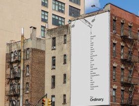 The Ordinary by The Ordinary
