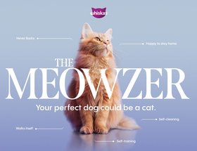 Meowzer