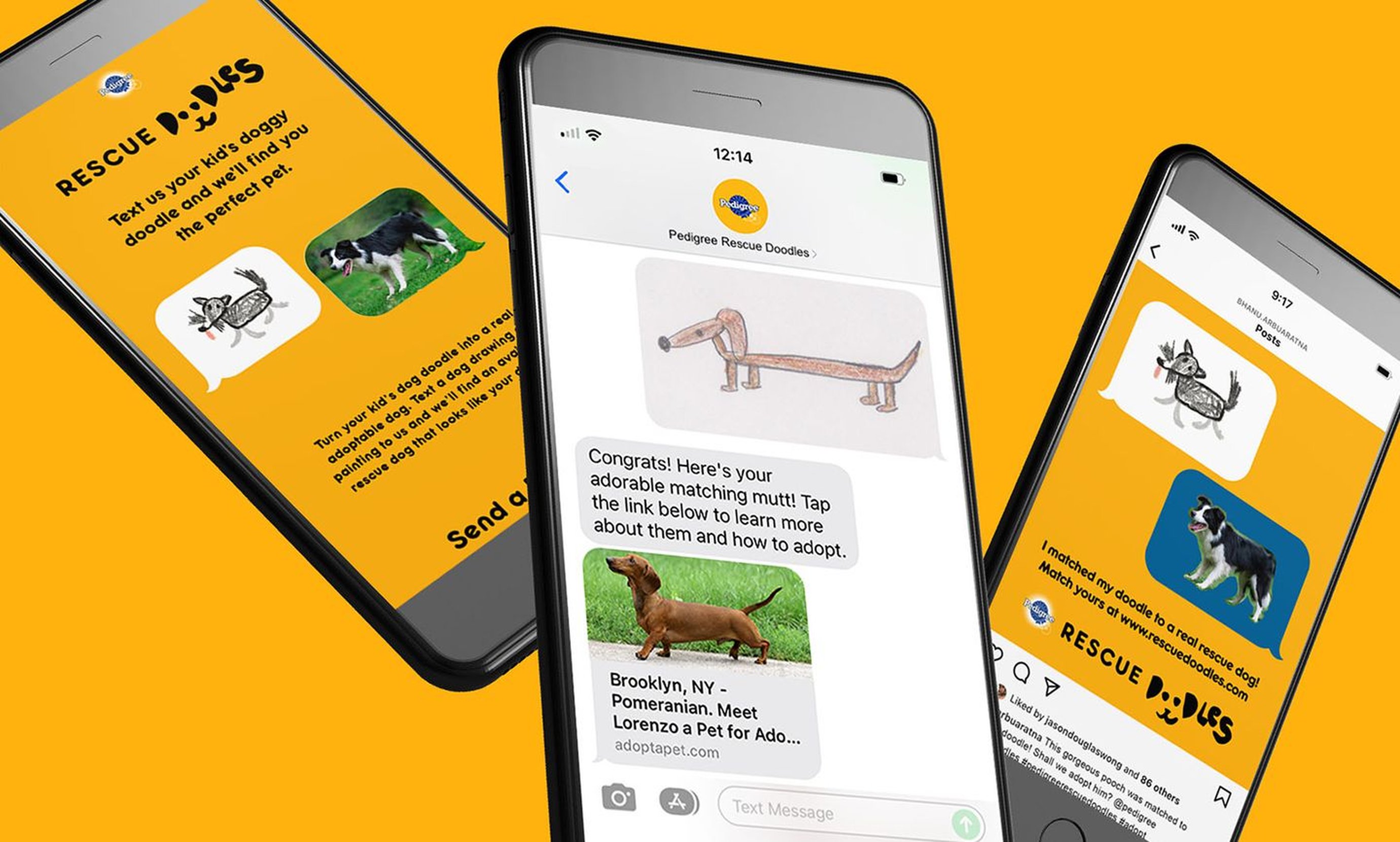 pedigree-rescue-doodles-d-ad-annual-2023