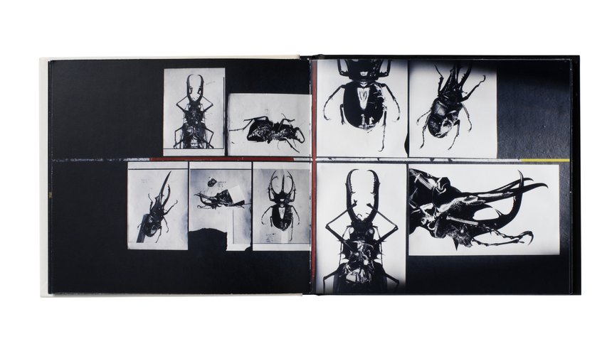 THE BEST OF MASSIVE ATTACK COLLECTED 限定 THE BEST OF MASSIVE ATTACK COLLECTED 限定（コレクテッド