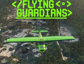 Flying Guardians